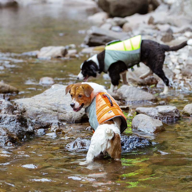Life Jacket for Dogs Truelove