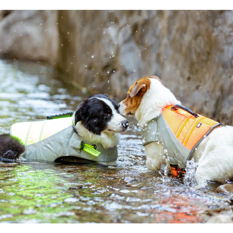 Life Jacket for Dogs Truelove