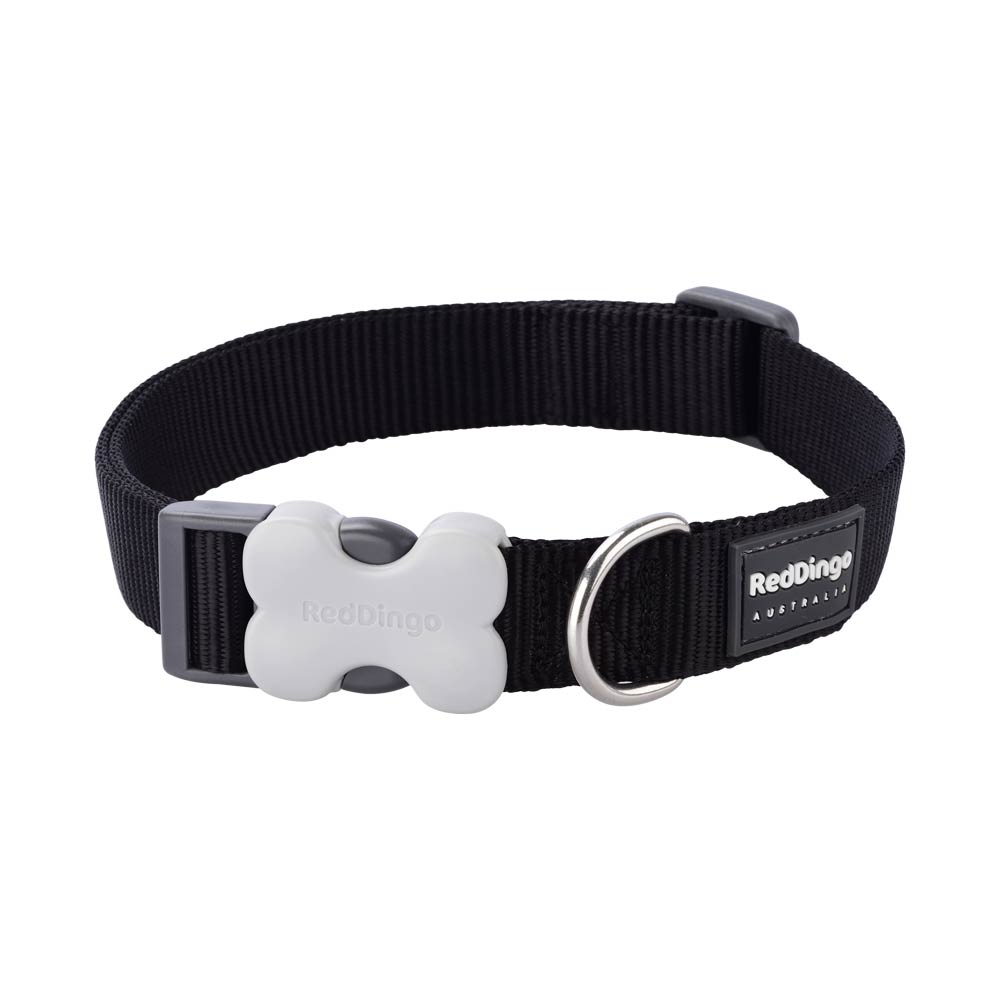 Dog Collar Plain Nylon