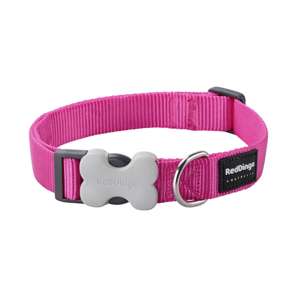 Dog Collar Plain Nylon