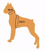 Quality Breathable Mesh Nylon Dog Harness