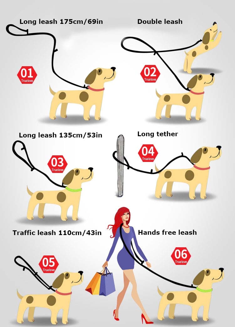 Double Ended Dog Lead Multi-Purpose 6 in 1