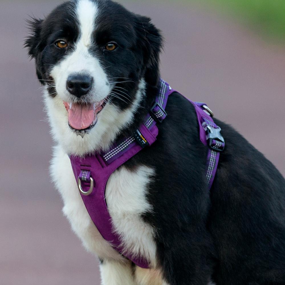 Ultra Light No Pull Dog Harness