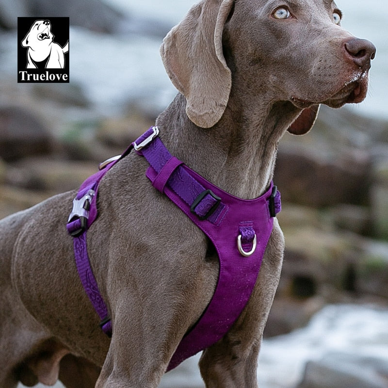 Light Weight No Pull Dog Harness