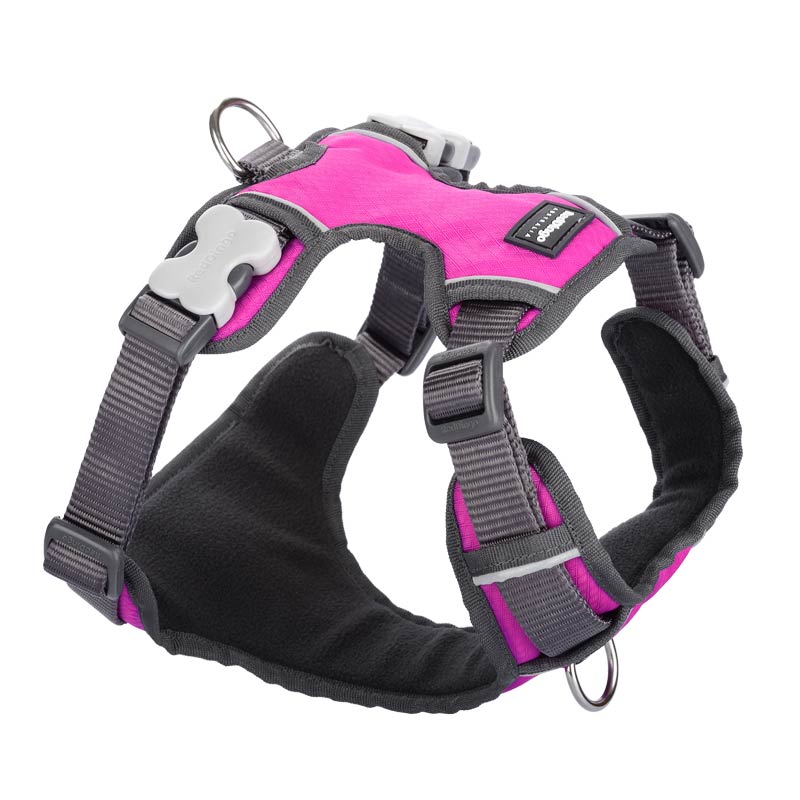Padded Dog Harness Red Dingo