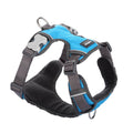 Padded Dog Harness Red Dingo