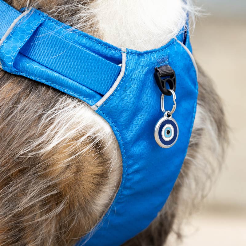 Sport Harness with Handle Red Dingo