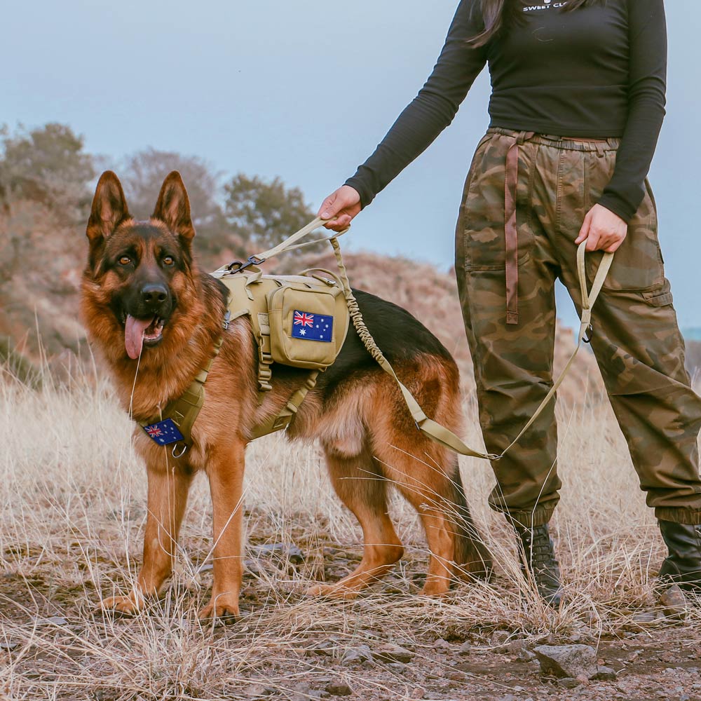 Tactical Dog Harness - 5 Piece Set